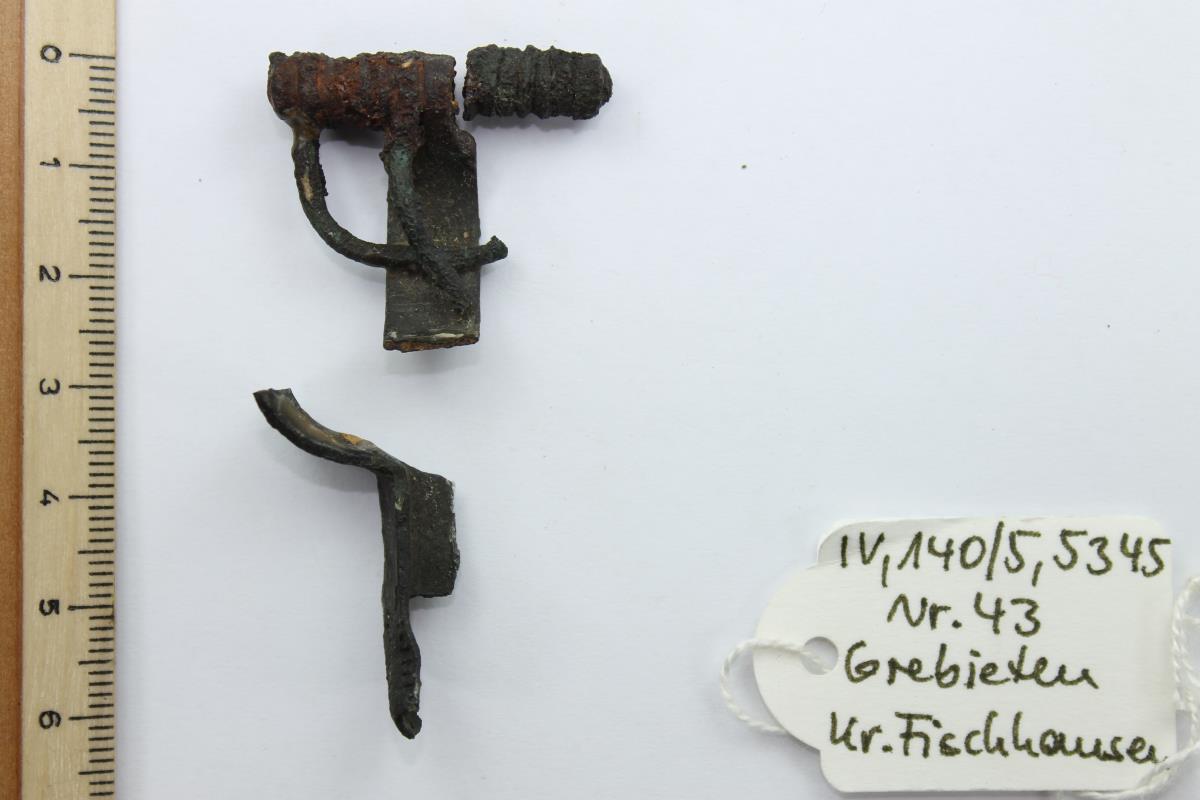 Armbrustfibel