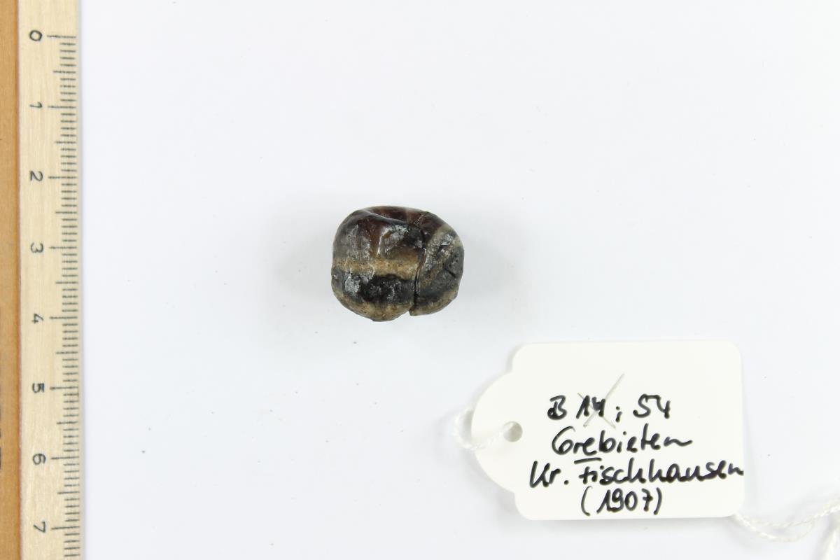 Glasperle