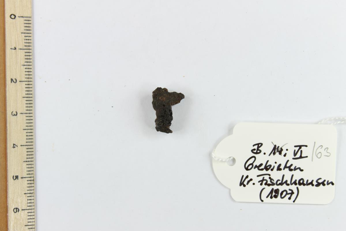 Gürtelschnallenfragment