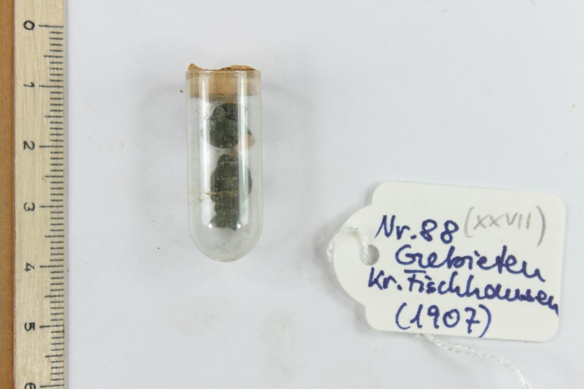 Bronzeniete