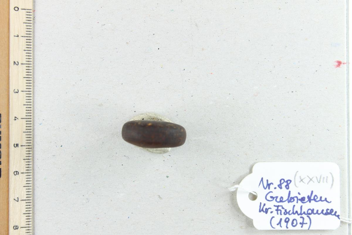 Bernsteinperle