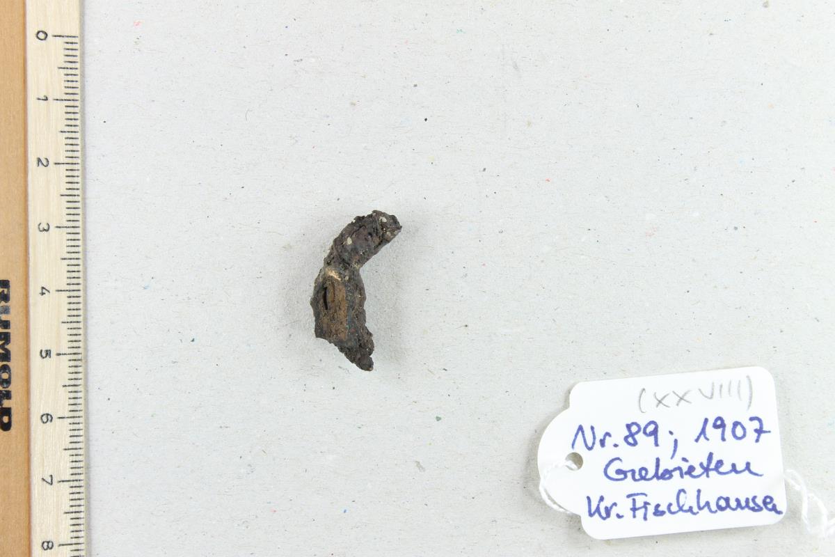 Fibelfragment