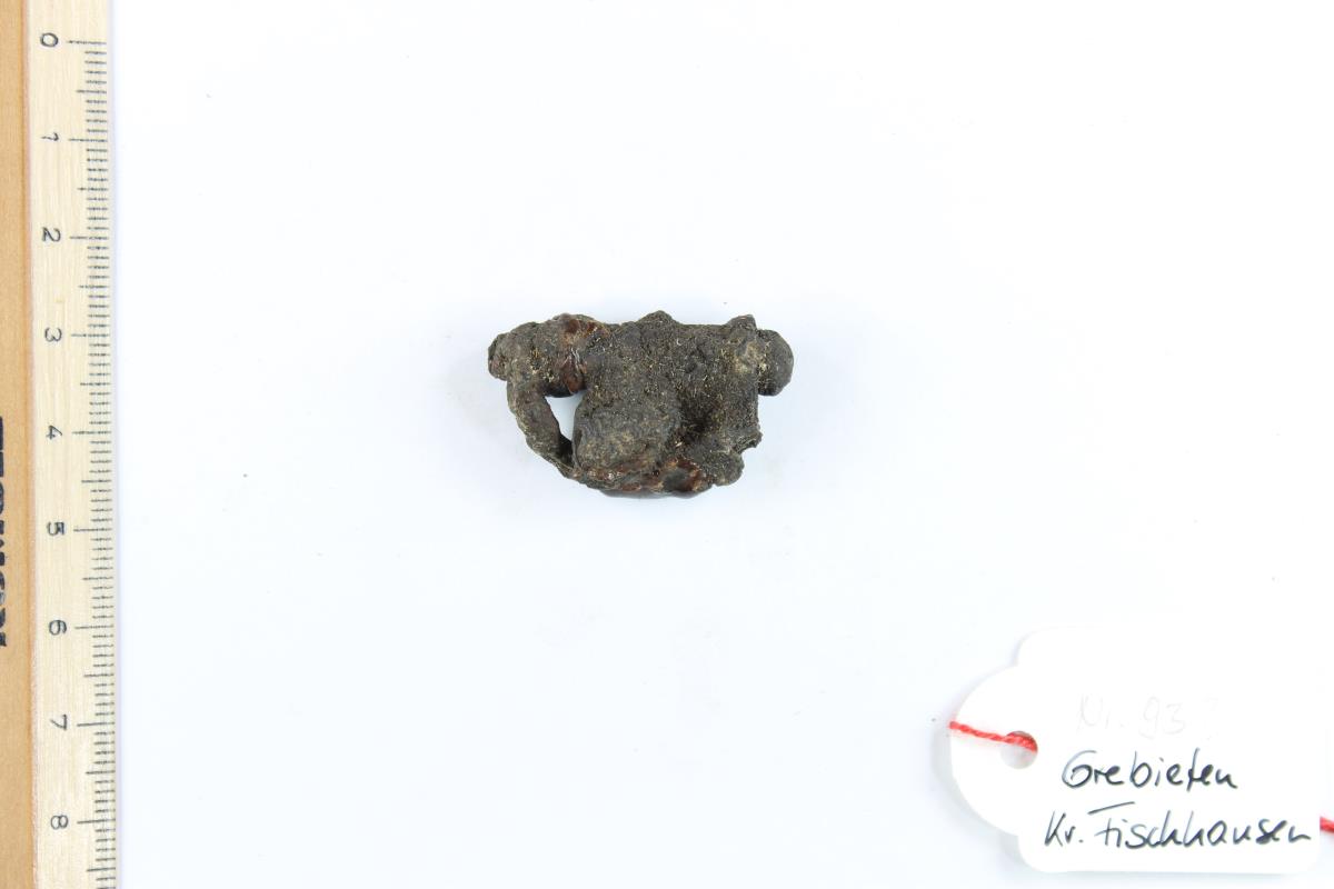 Fibelfragment