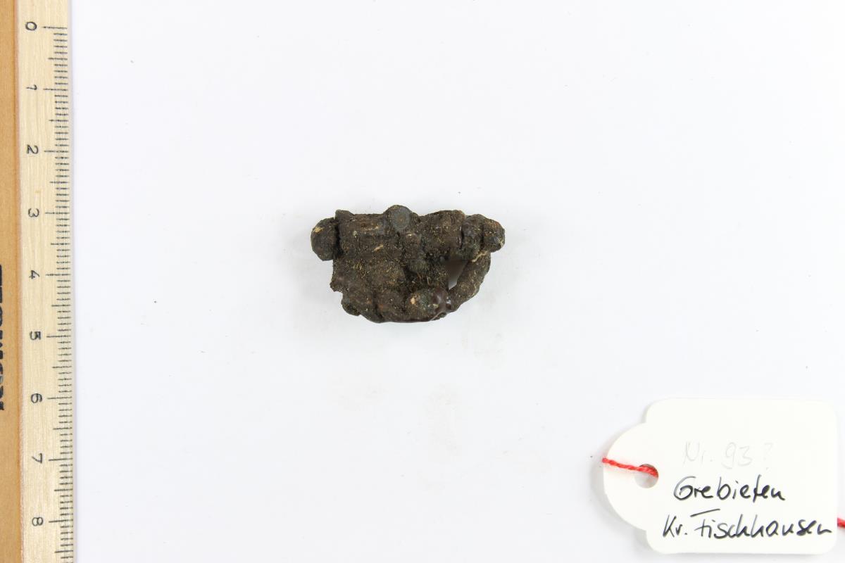 Fibelfragment