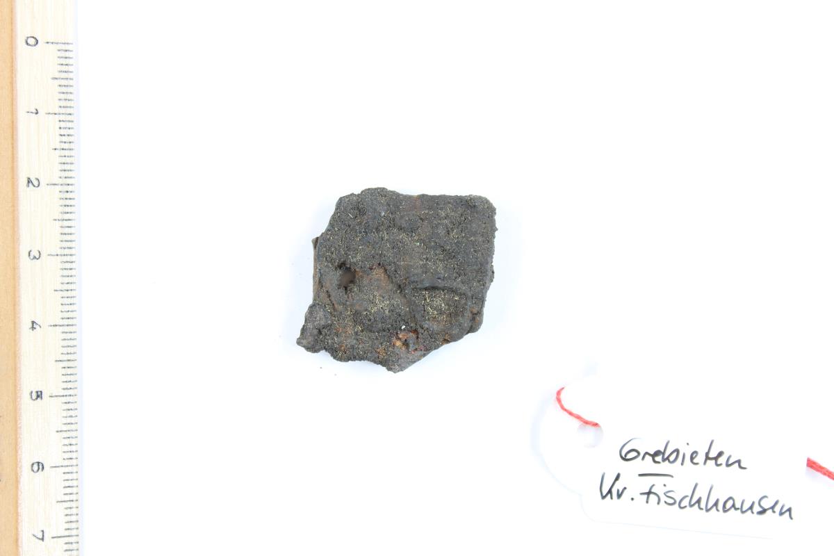 Schildfessel