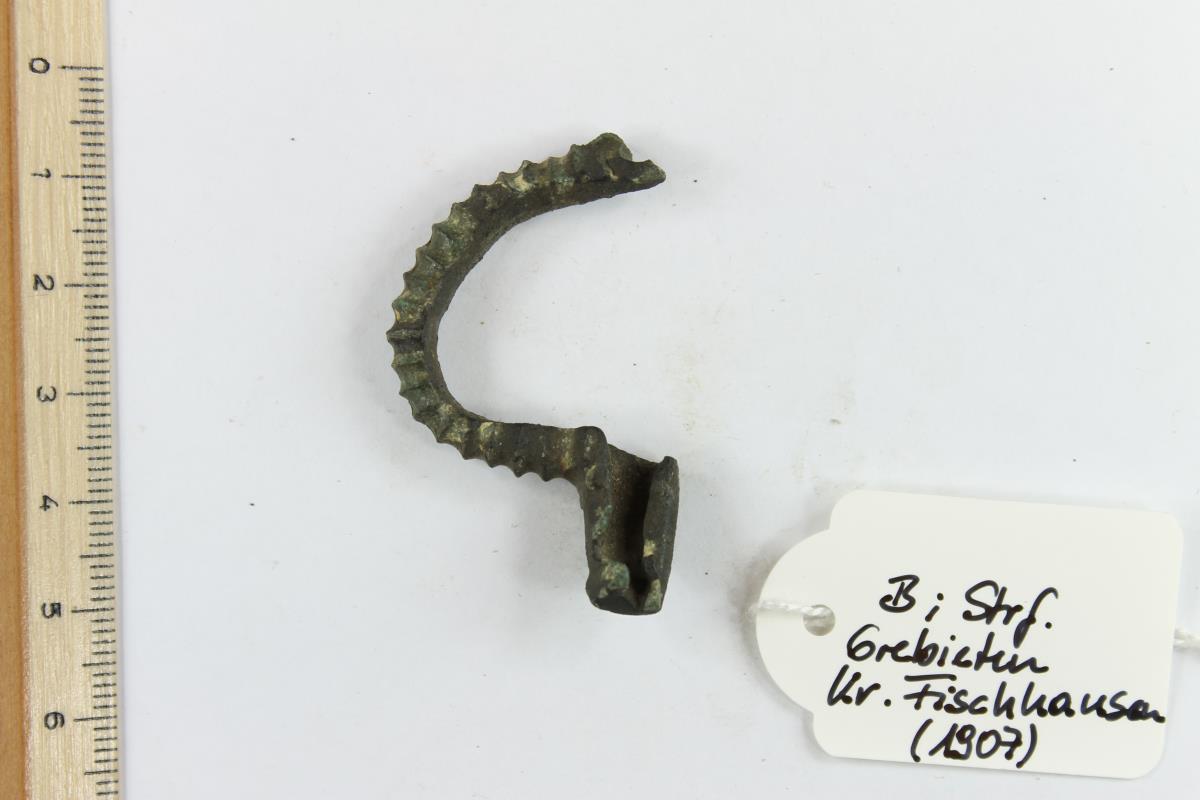 Armbrustfibel