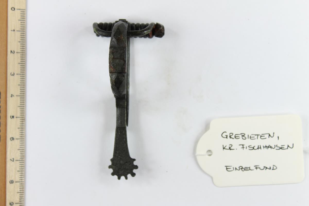 Sternfußfibel