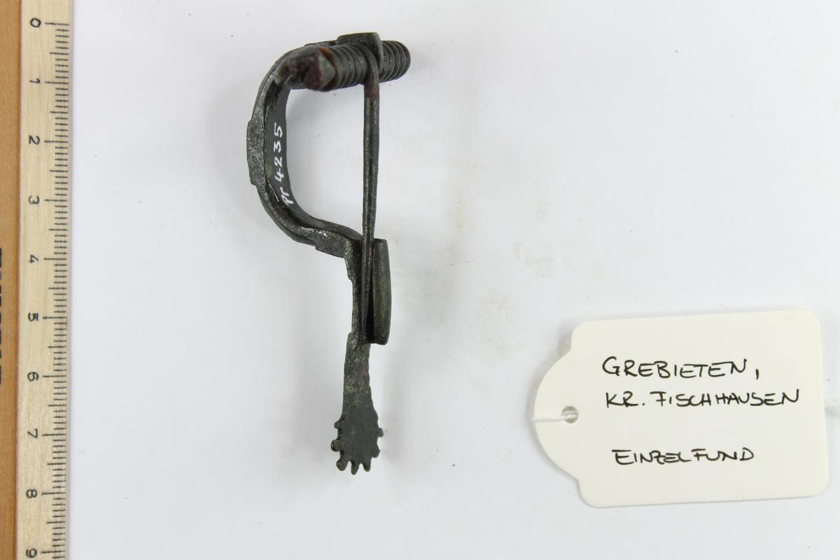Sternfußfibel