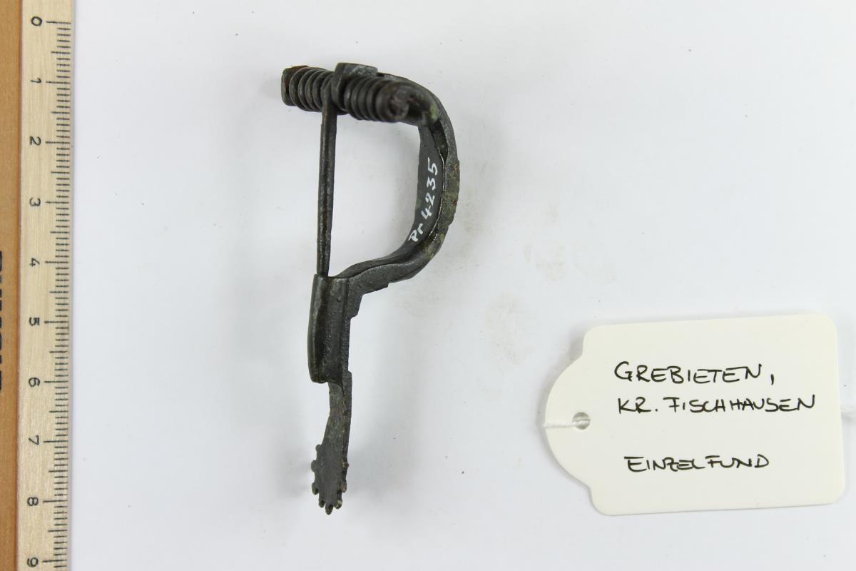 Sternfußfibel