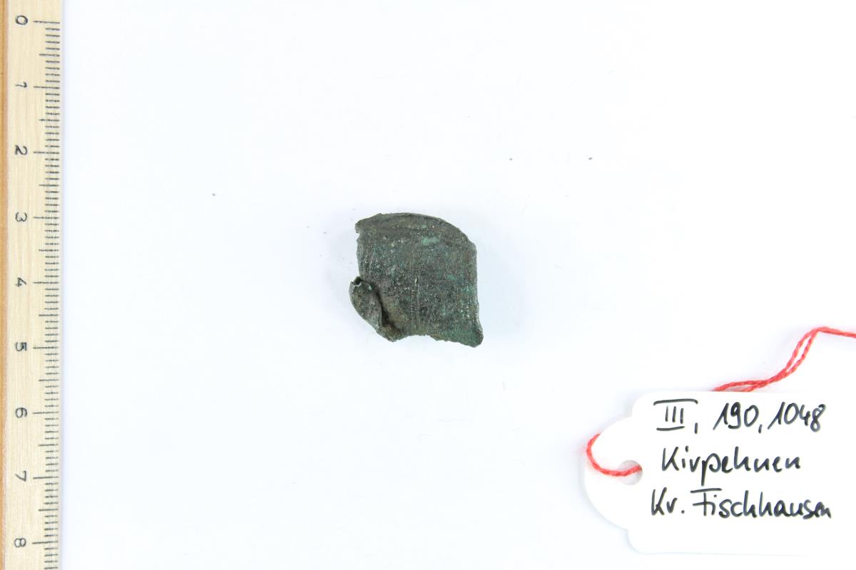 Fibelfragment