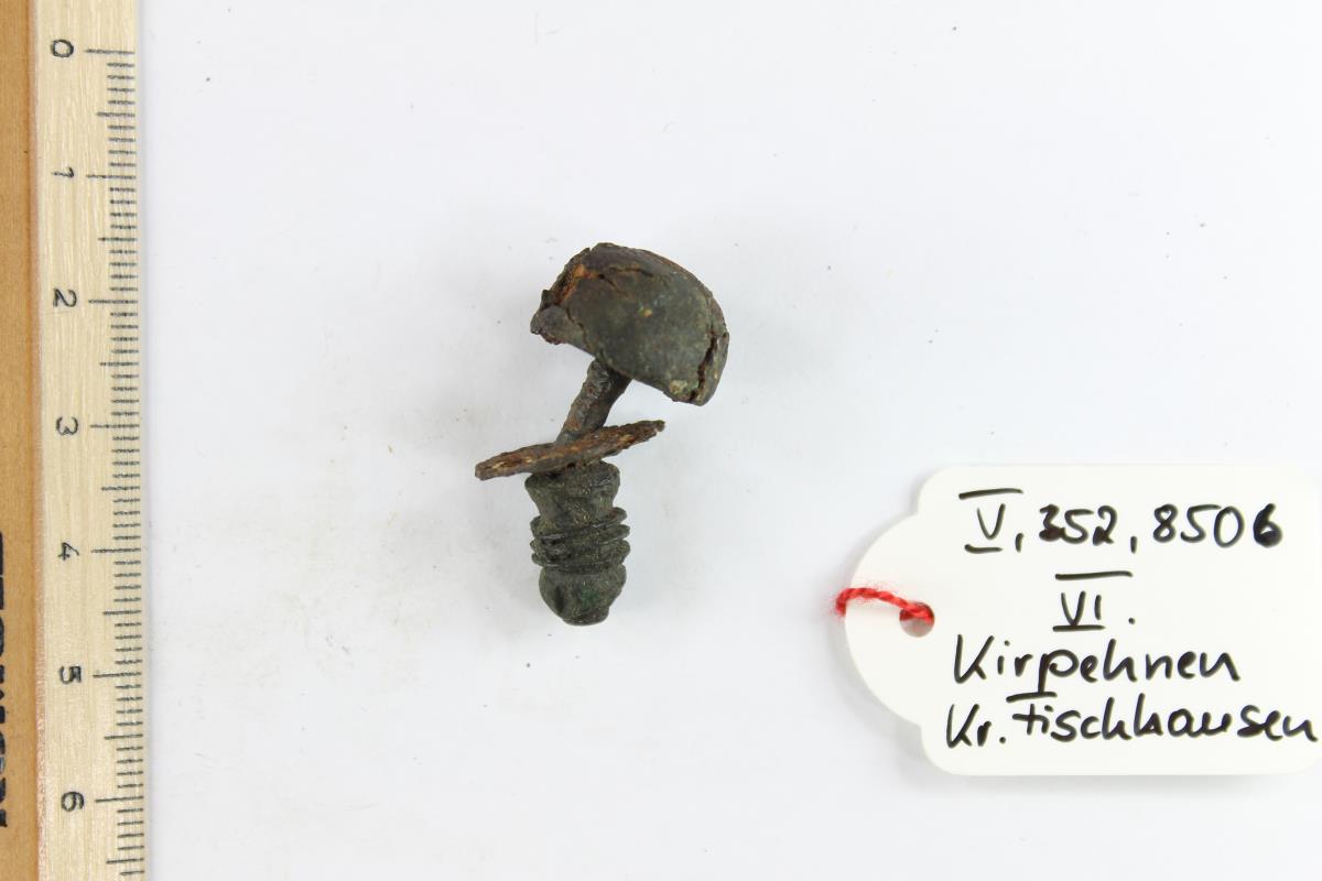 Schildbuckel