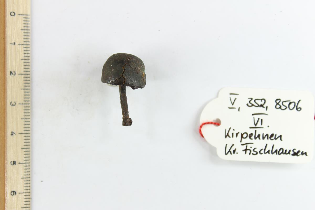 Schildbuckel