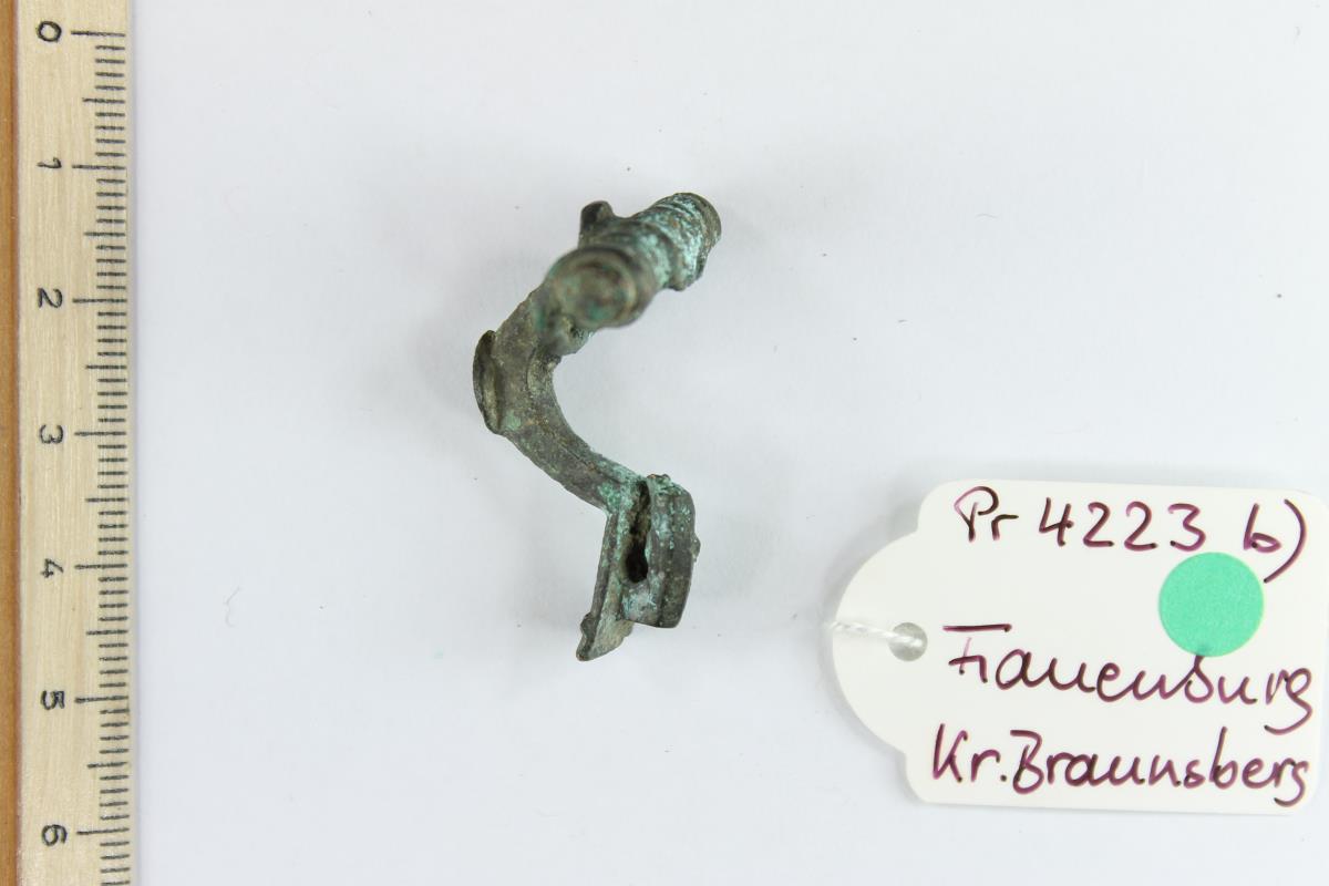 Armbrustfibel