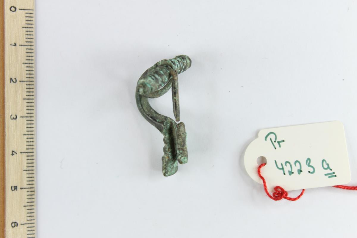 Armbrustfibel