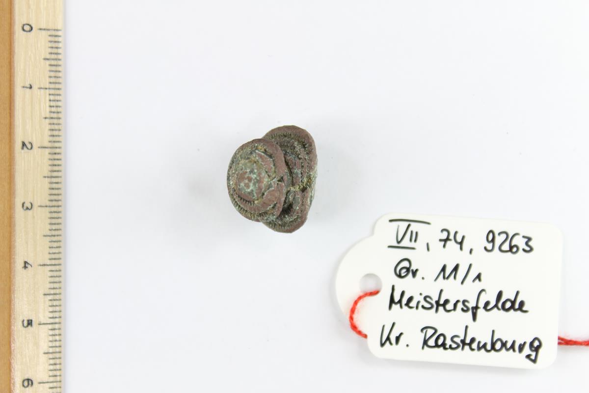 Fibelfragment