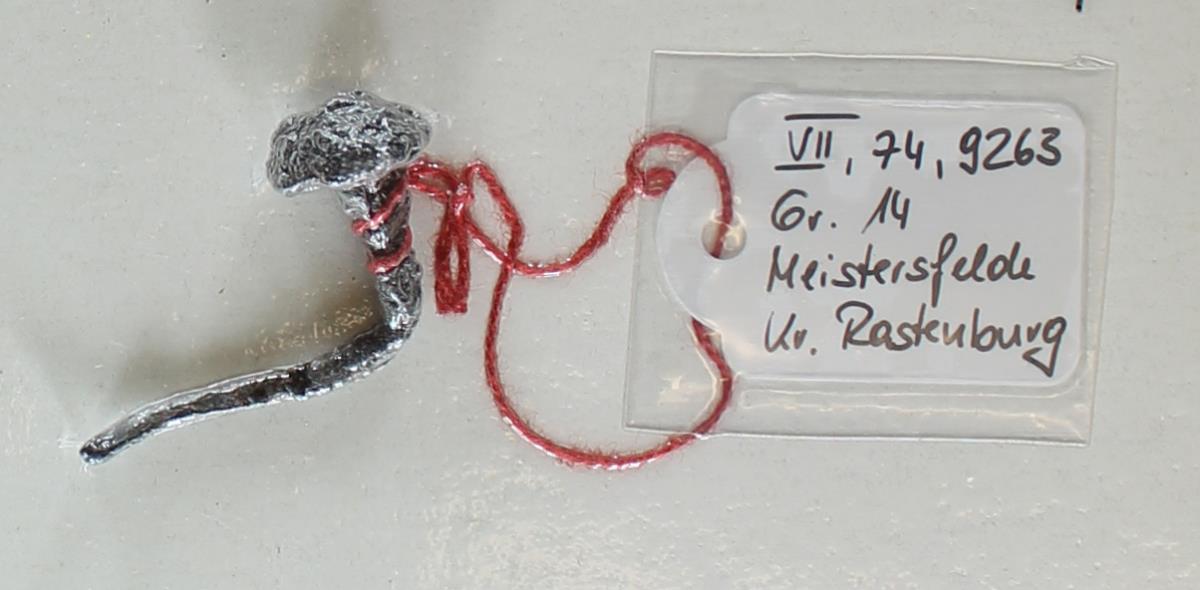 Eisenniet
