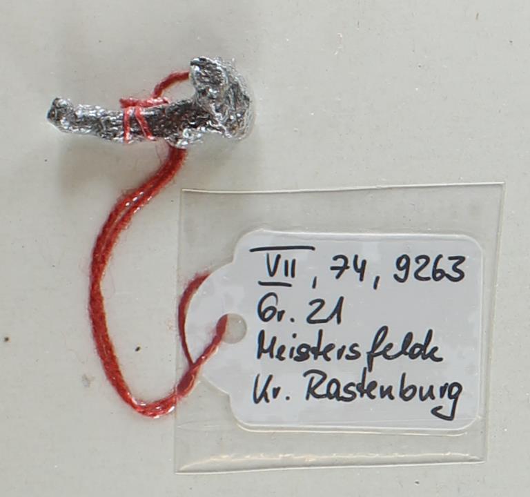 Eisennagel