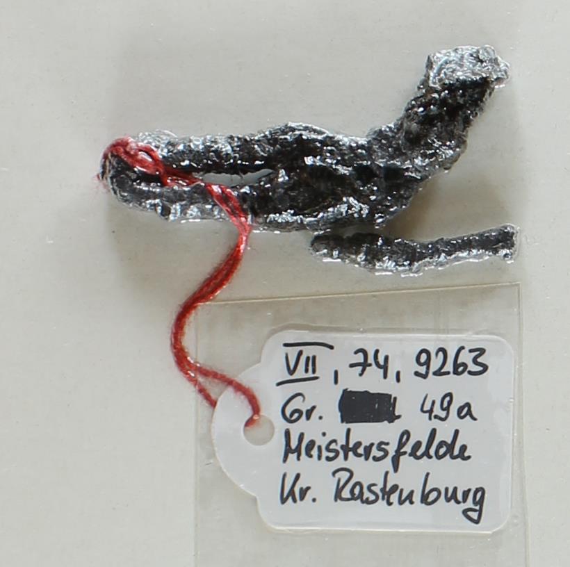 Fibelfuß