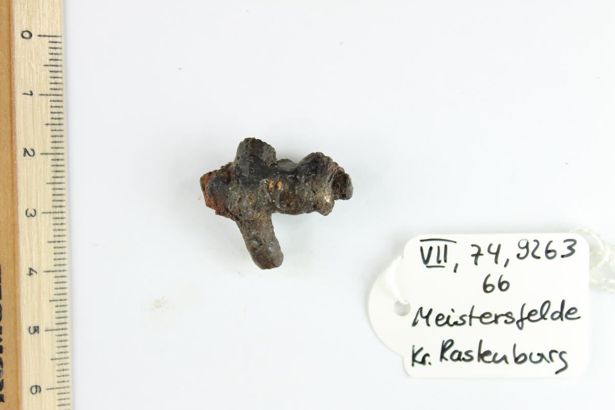 Fibelfragment