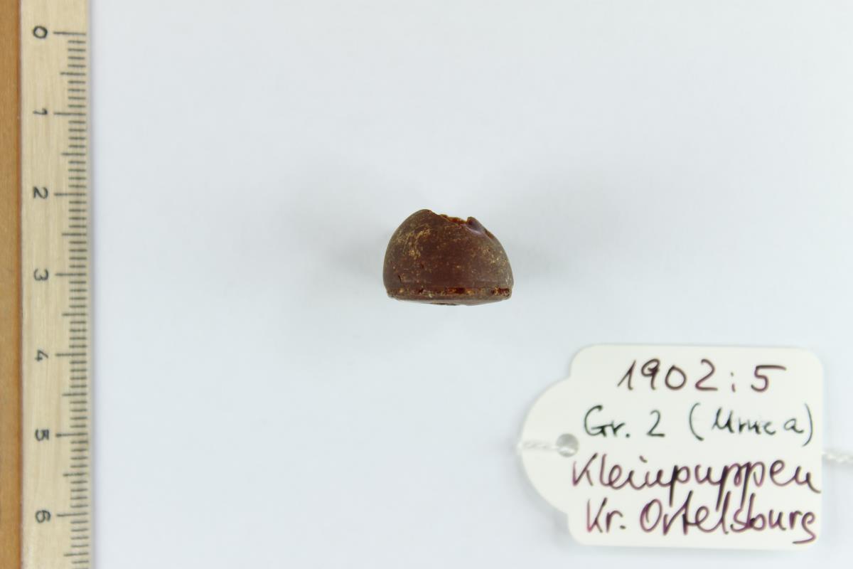 Bernsteinperle