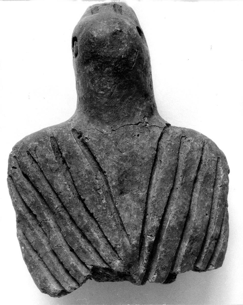 Oberteil eines Raubvogels