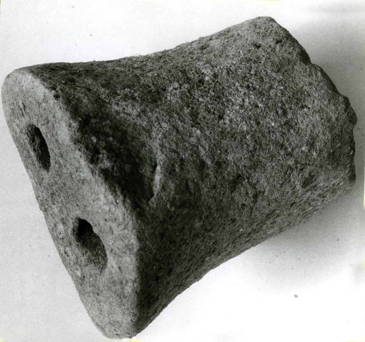 Fragment einer Schweineschnauze
