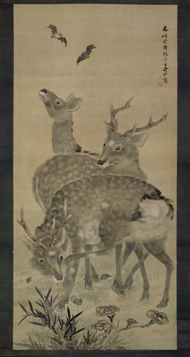 Hirsche und Fledermäuse