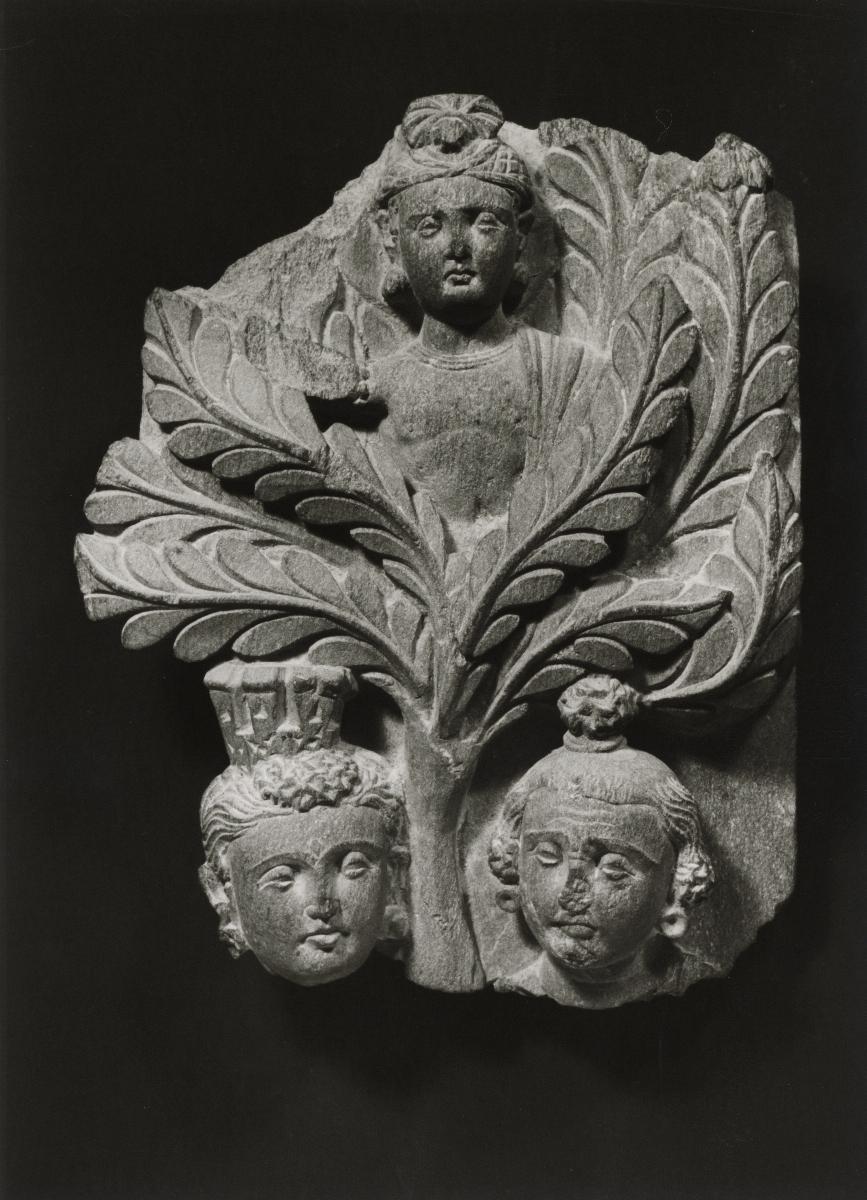 Erzählende Szene, evtl. Fragment aus einer Szene des Dahinscheidenden Buddha (mahaparinirvana): Yaksha in Shala-Baum, Kopf einer Stadtgöttin und eines Klagenden