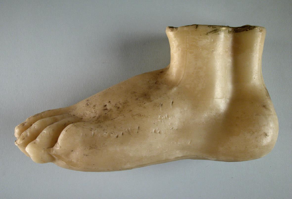 Fuß