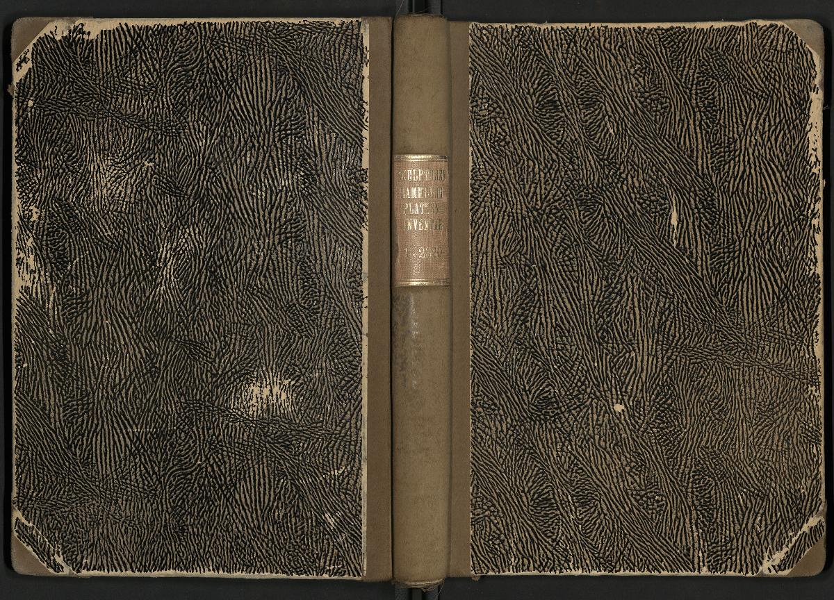 Skulpturensammlung Platten-Inventar 1 - 2320