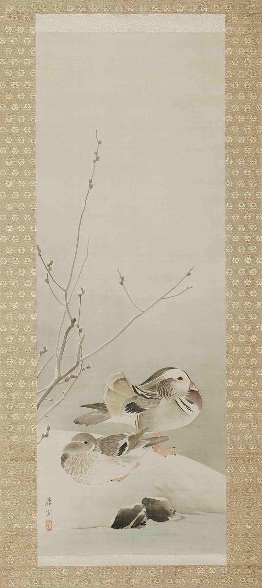 Mandarin-Enten im Schnee