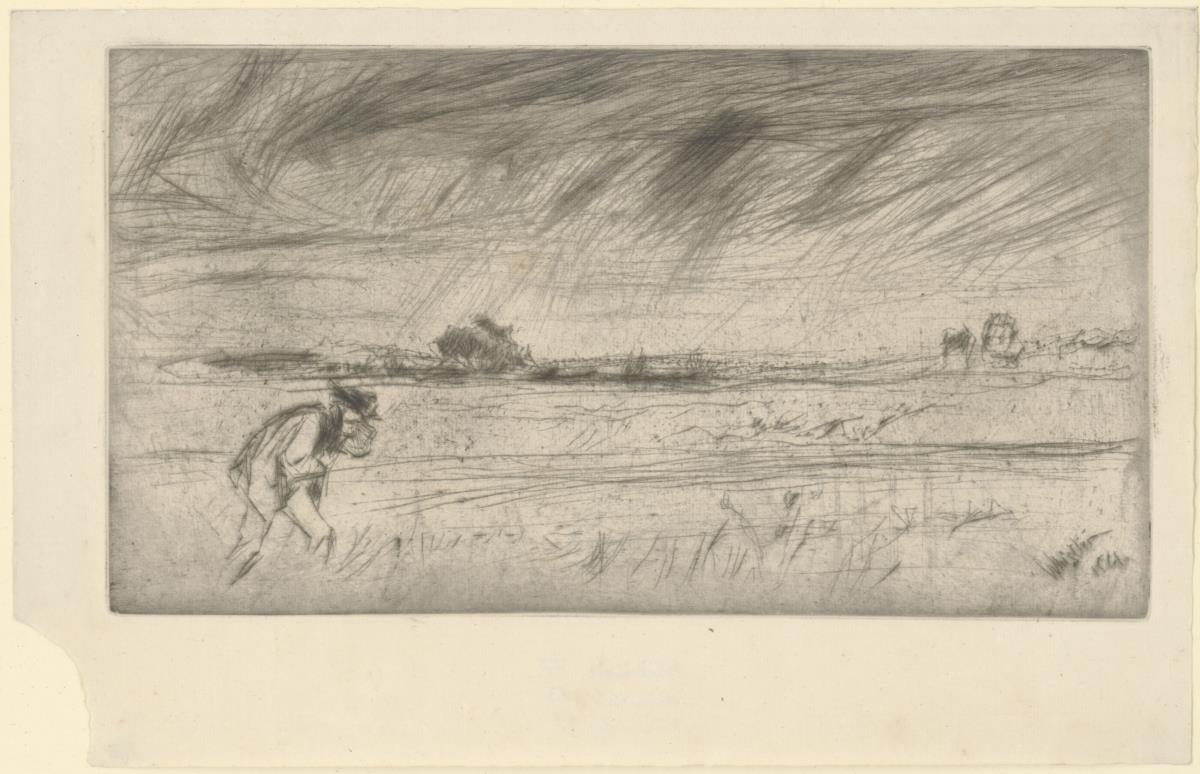 The Storm