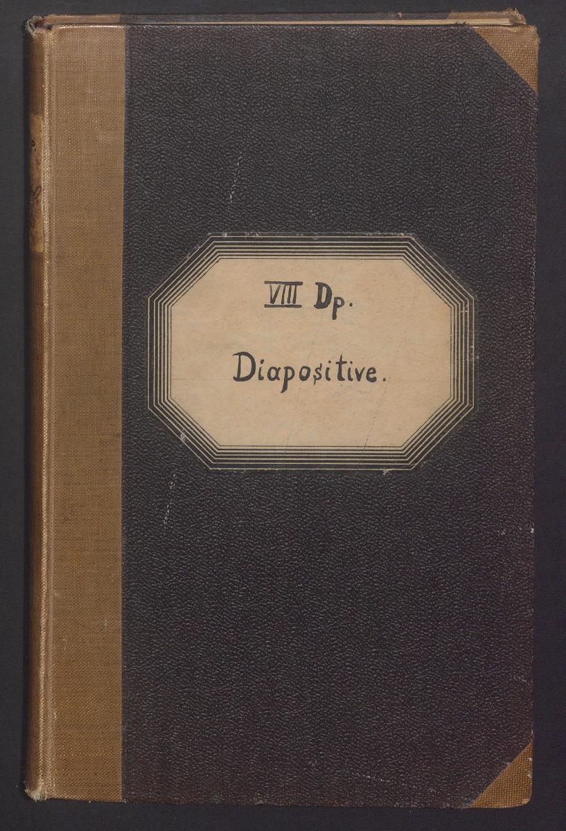 VIII Dp. Diapositive.