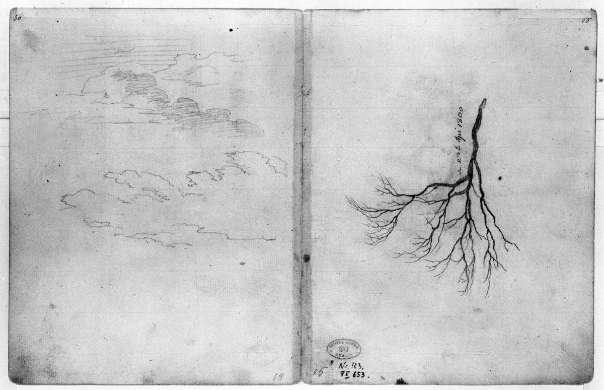 Wolkenstudie, kahler Baum