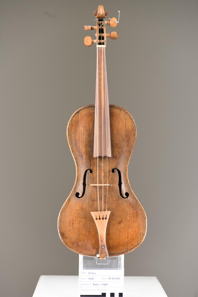 Violine
