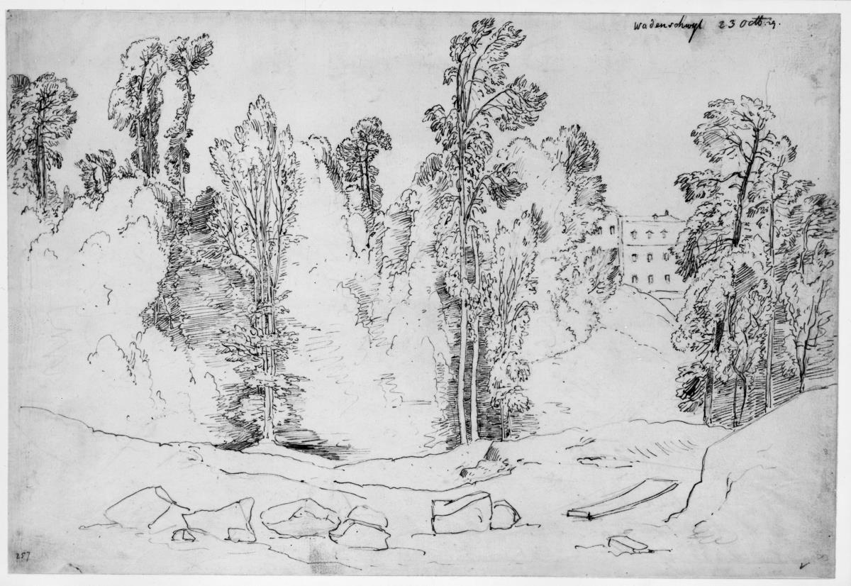 Baumgruppen, in der Lichtung des Hintergrundes Häuser. "Wadenschwyl"