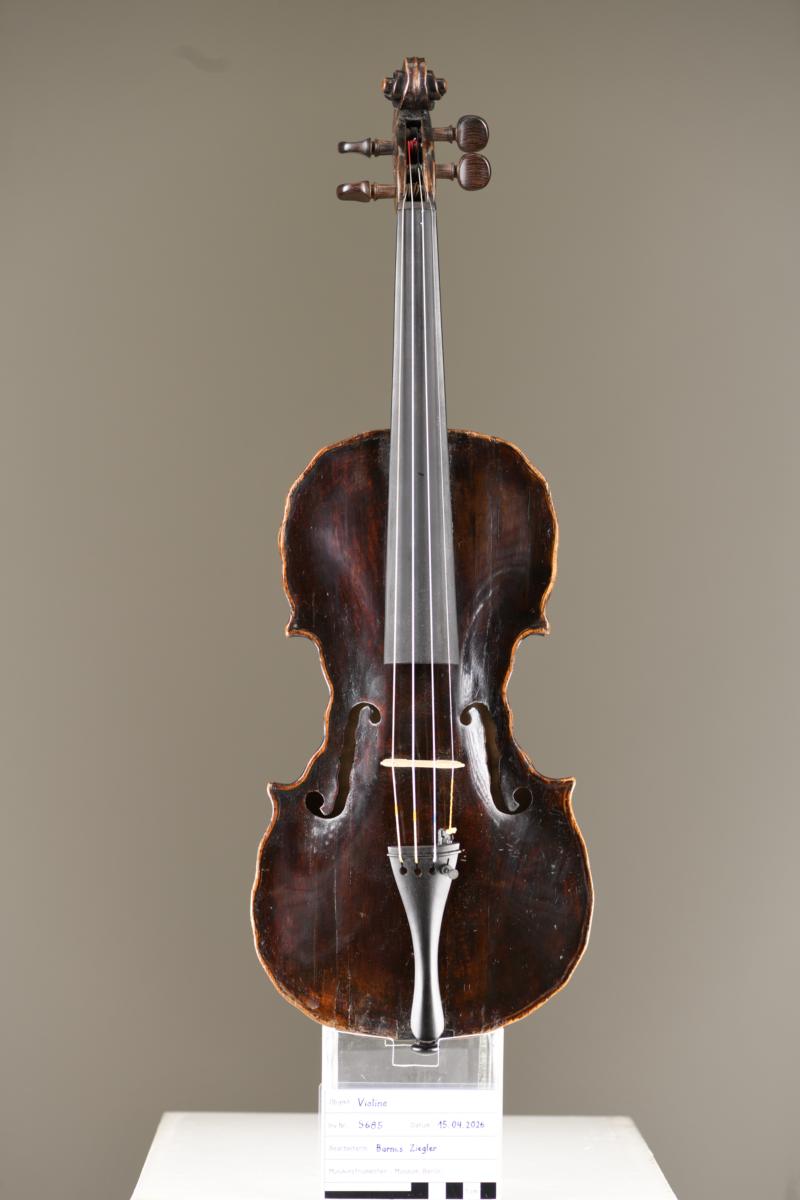 Violine