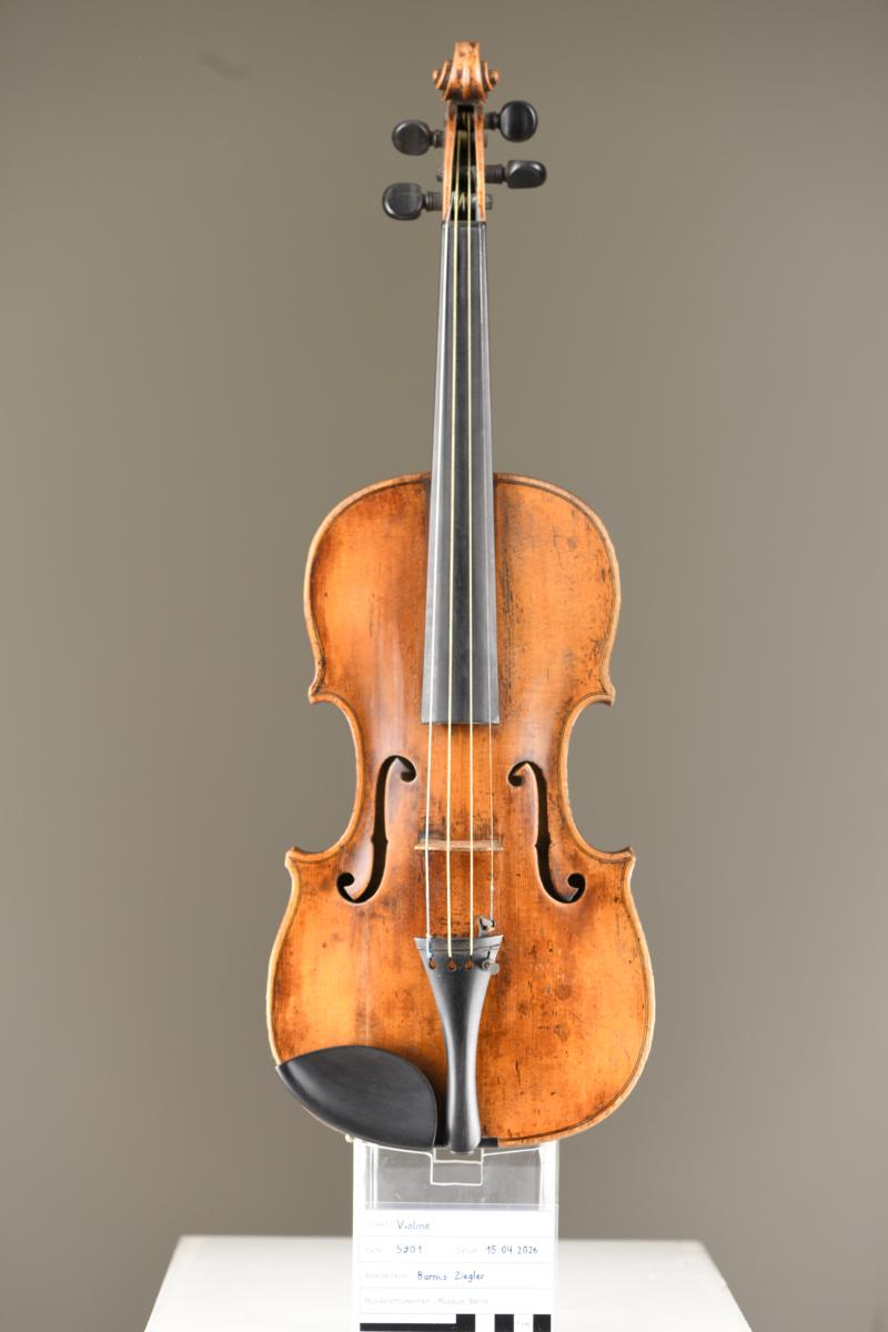 Violine