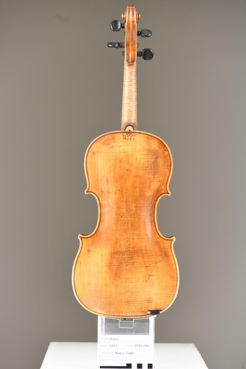 Violine