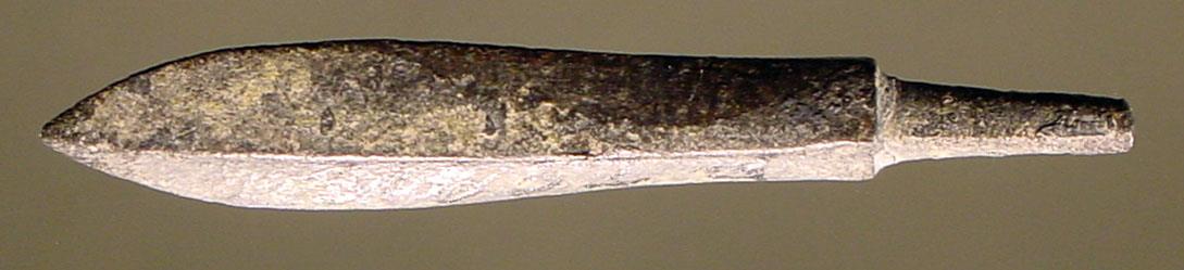 Kleine Dornpfeilspitze