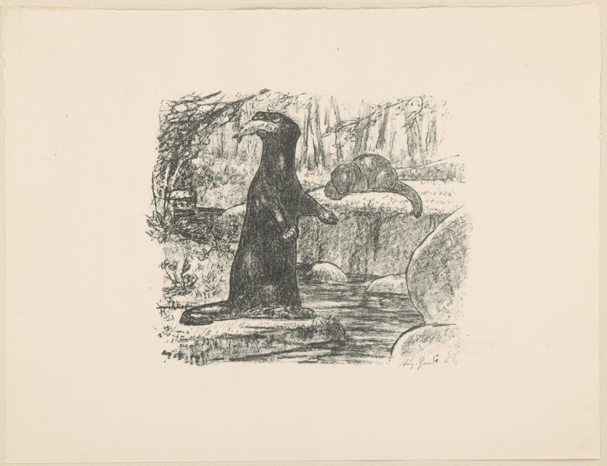 Fischotter (aus: Vom Fressen der Tiere)