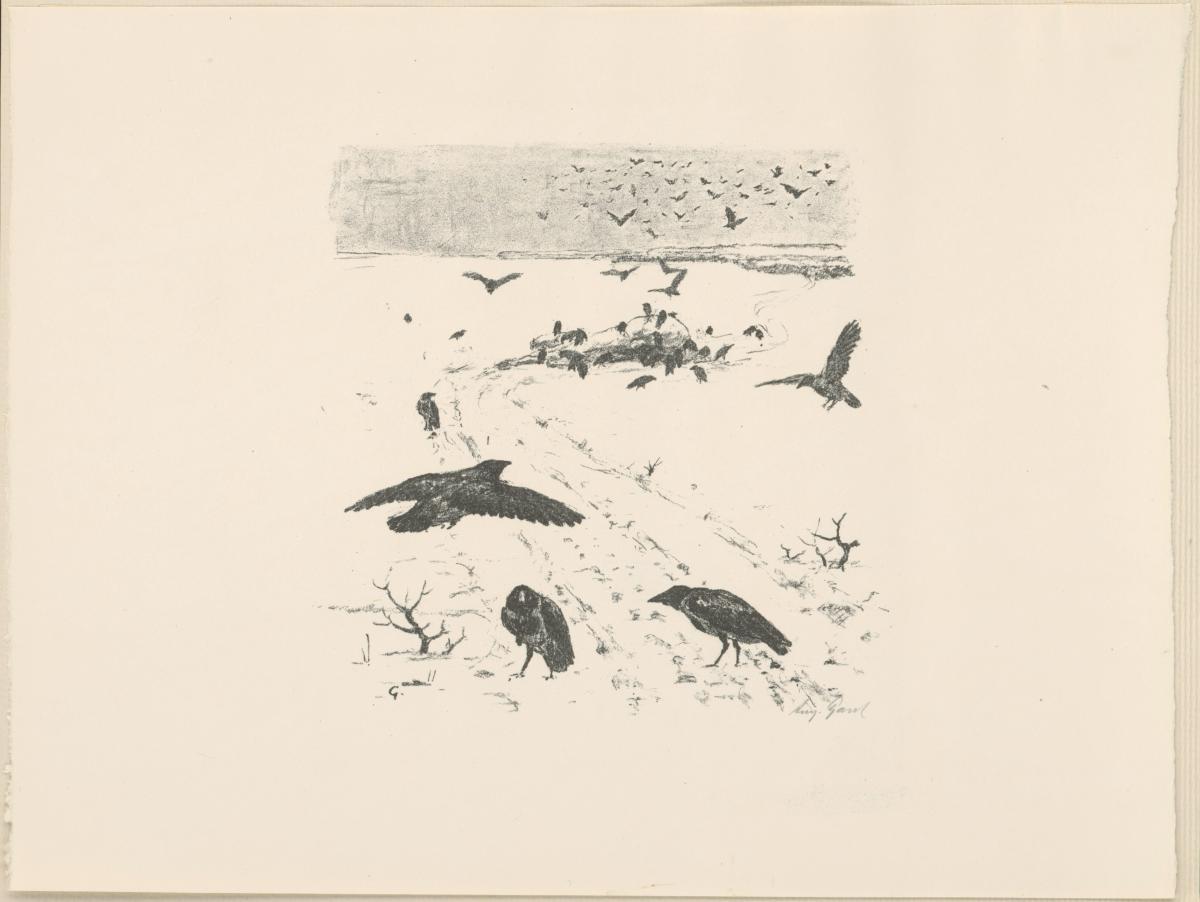 Krähen (aus: Vom Fressen der Tiere)