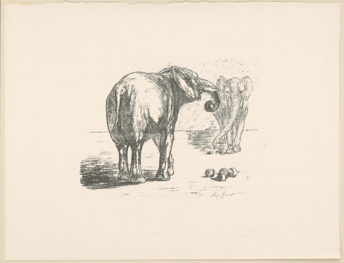 Elefanten (aus: Vom Fressen der Tiere)