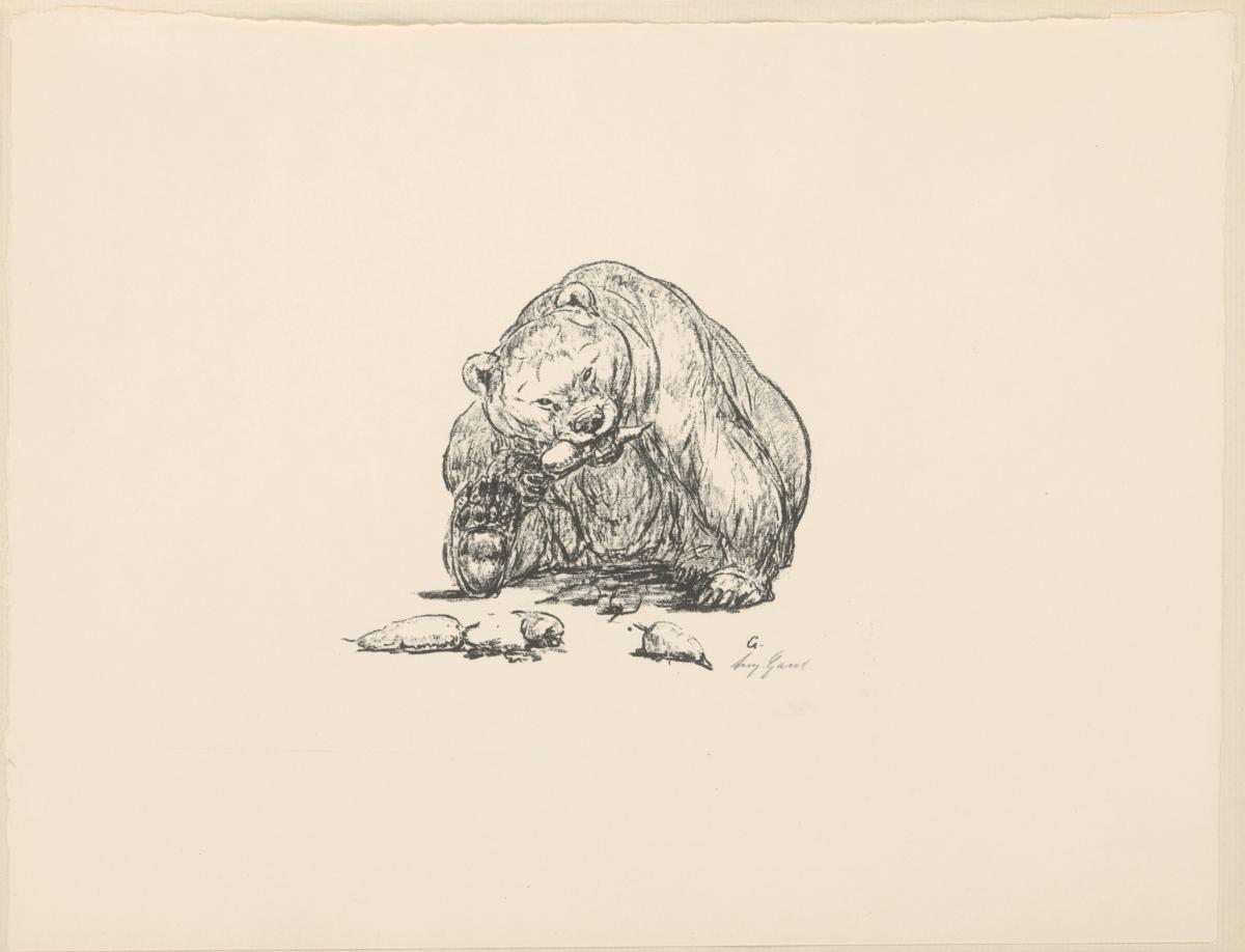 Bär (aus: Vom Fressen der Tiere)