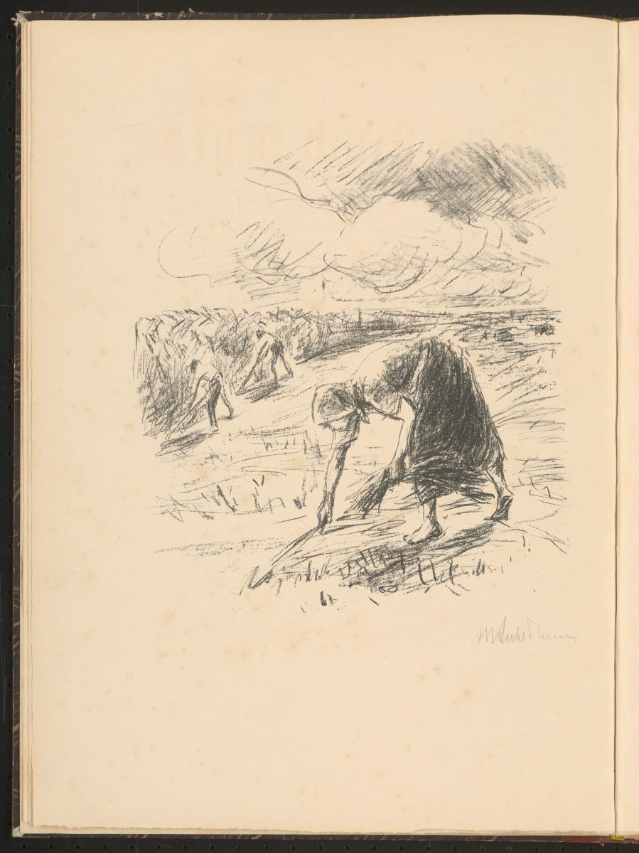 Ruth auf dem Felde (Blatt 1 (S.6) aus: Das Buch Ruth)