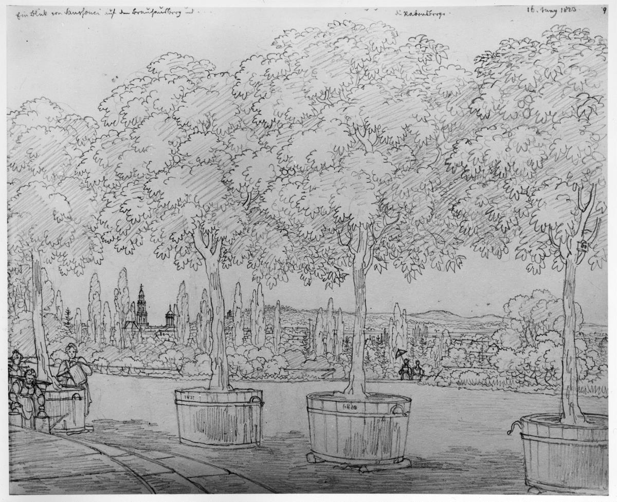 Blick von der oberen Terrasse in Sanssouci durch Orangenbäume auf den Brauhausberg und die Ravensberge.