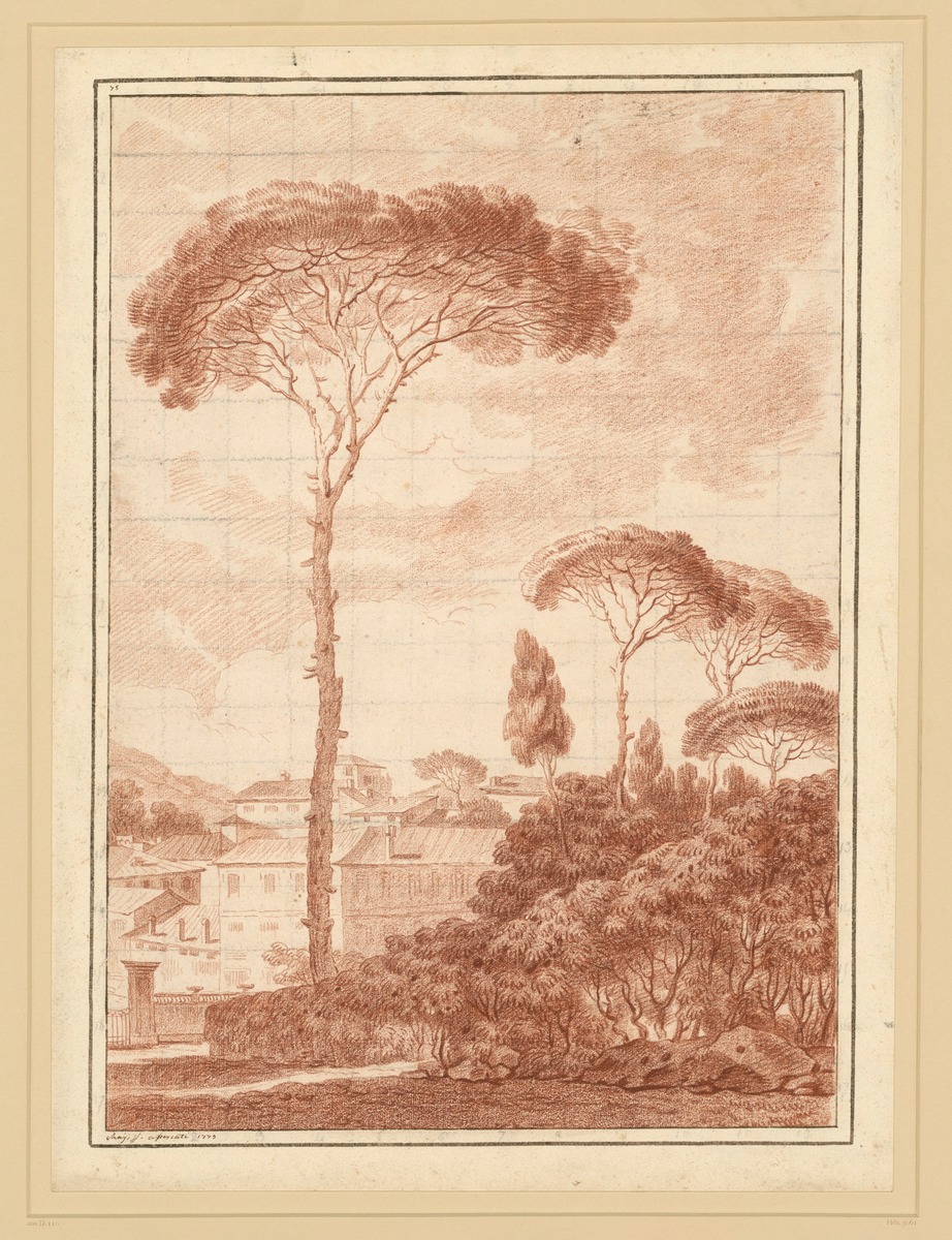 Landschaft mit Pinien und Stadt im Hintergrund in Frascati, Italien