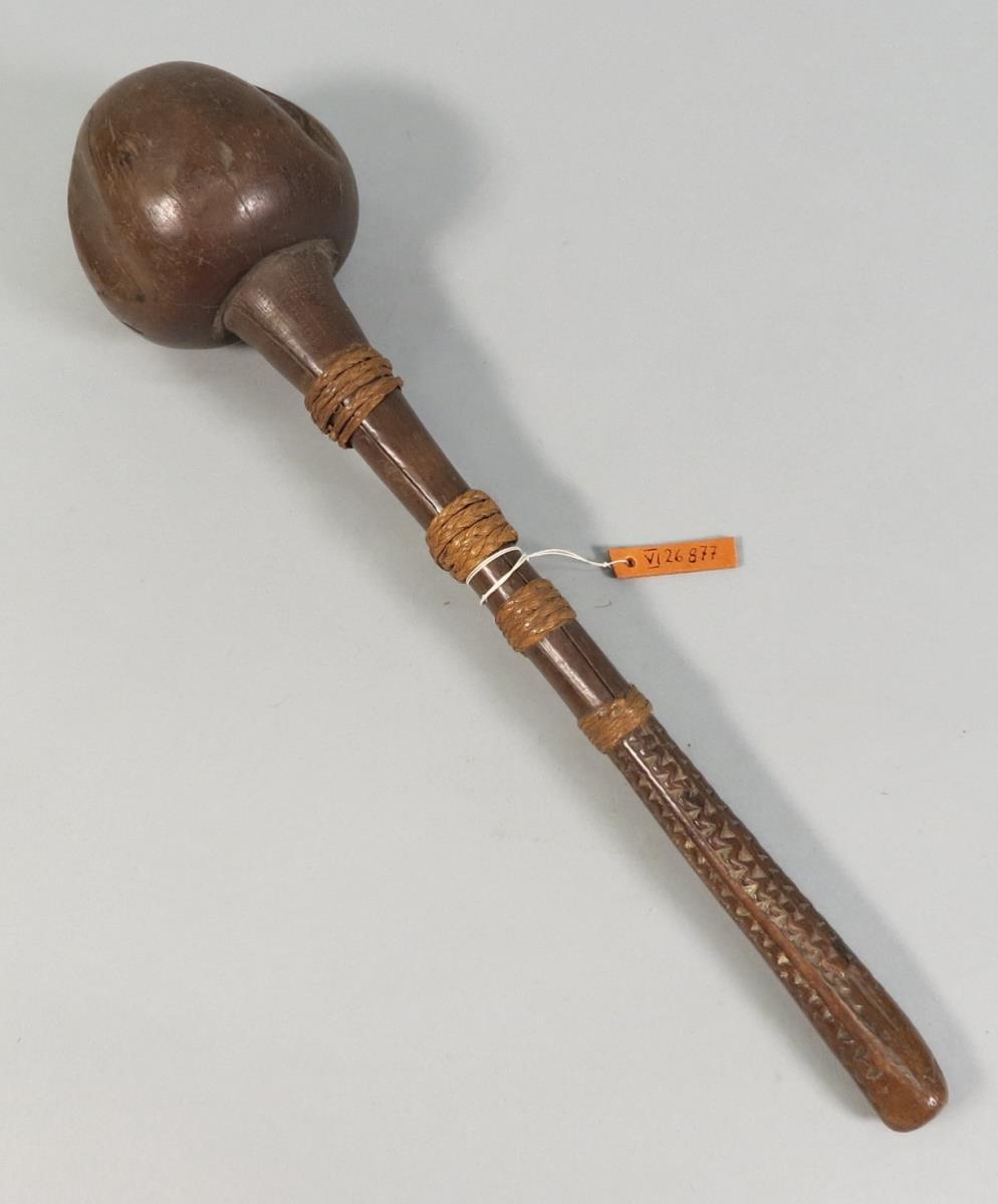 iula drisia