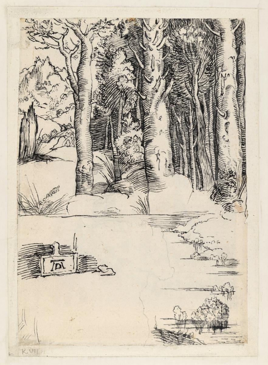 Waldlandschaft und tiefe Flußlanschaft