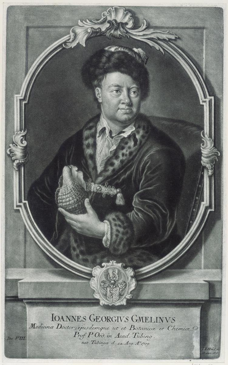 Johann Georg Gmelin